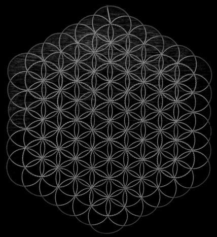 Fruit of Life- This pattern, discovered by Melissa Martin, utilizes Sacred Geometry and Tensor Technology. The Fruit of Life is considered to be a Key of Light.