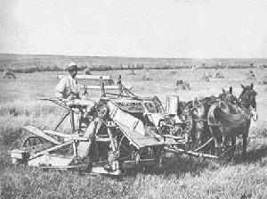 Midwest Farming Cyrus McCormick invented mechanical reaper Enabled 1 farmer