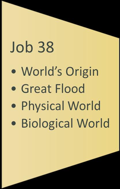 The Physical & Biological World Job 38:12-38 36 Who gives the ibis wisdom or