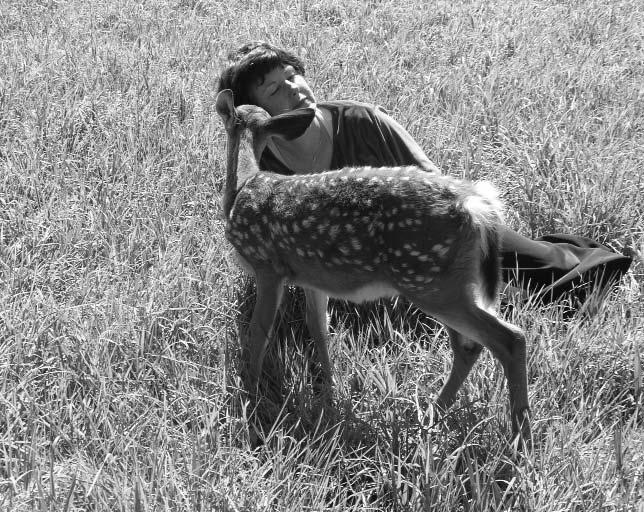 PBC Begins Monthly Animal Release Practices By Pema Dragpa Edited by Andrew Cook Right: Ani Lorraine with Tsering, a young deer who was rescued and brought to Padma Samye Ling with the assistance of