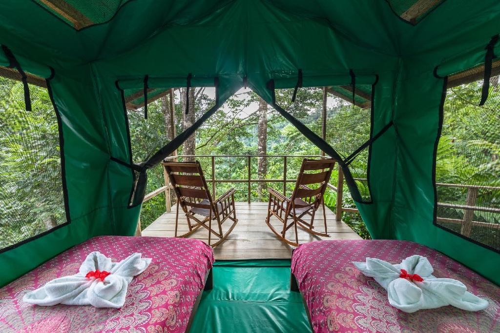 Some believe that the tents have the best view at Luna Lodge as the