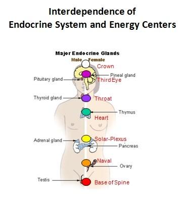 Molecules of Emotion Energy comes into the center and stimulates corresponding endocrine gland Endocrine gland is activated by the energy impulse to secrete a mood and health altering hormone The