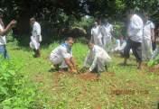 SAI SABUJIMA LET S PAINT THE WORLD GREEN Plantation is a service activity in which all including young and