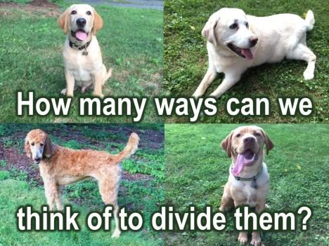 and to divide them and I was trying to think how