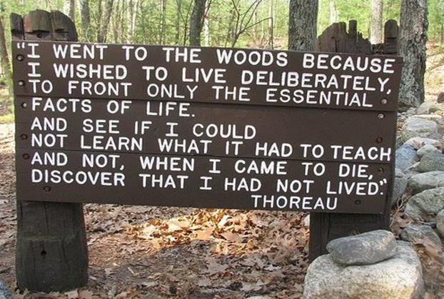 come to die, Discover that I had not lived. This quote from Walden is a direct example of how Thoreau wished to live his life.