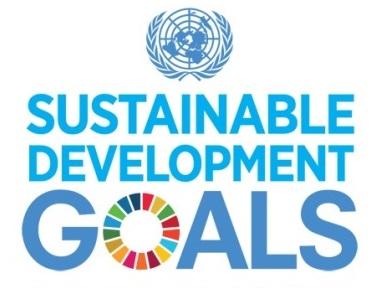 2015 UN summit SDGs Nov.