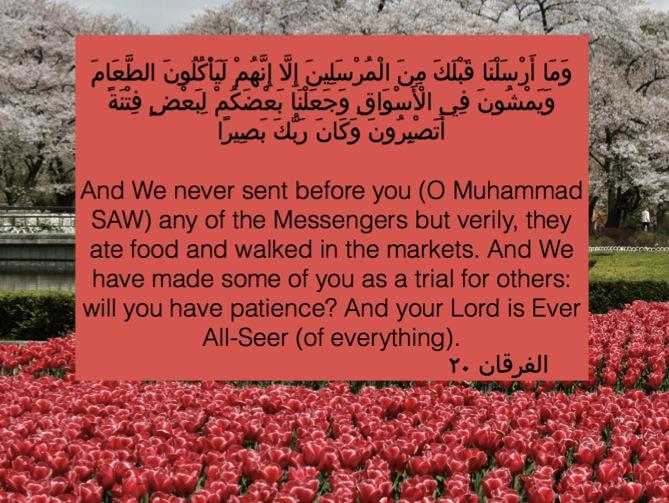 When do we need Patience? Surah Furqan Ayah 20 In this Ayah, Allah is telling us that in our life we need to be really patient when we are dealing with the different types of people.