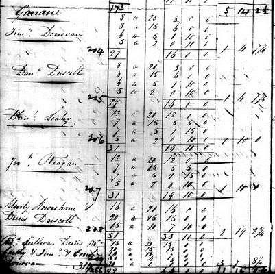 Tithe Applotment Books Introduction: Land Valuation Records A Dan Driscoll was in the Caheragh Tithe Applotment of 1827 on lot 205. A Denis Driscoll was on lot 208. Michael was not listed.