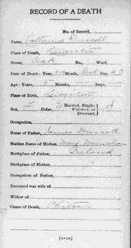 James was naturalized in 1886. He died in 1911, and Mary Daughter Margaret married a younger cousin Daniel Patrick Minihane, from Lahertydaly, in Boston in 1910.