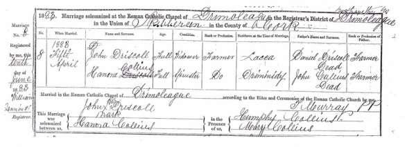 used the 1911 Lacka record to search for a marriage to a Patrick Driscoll and a Julia, estimated around 1908.