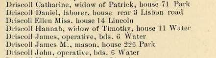 The 1880 census lists the family on Park Street, house number 24: Patrick, at home (65); Catherine, wife (64); Jennie V (24) and Lizzie F. (22), both working in the woolen mill. 1880 U.S. Census.