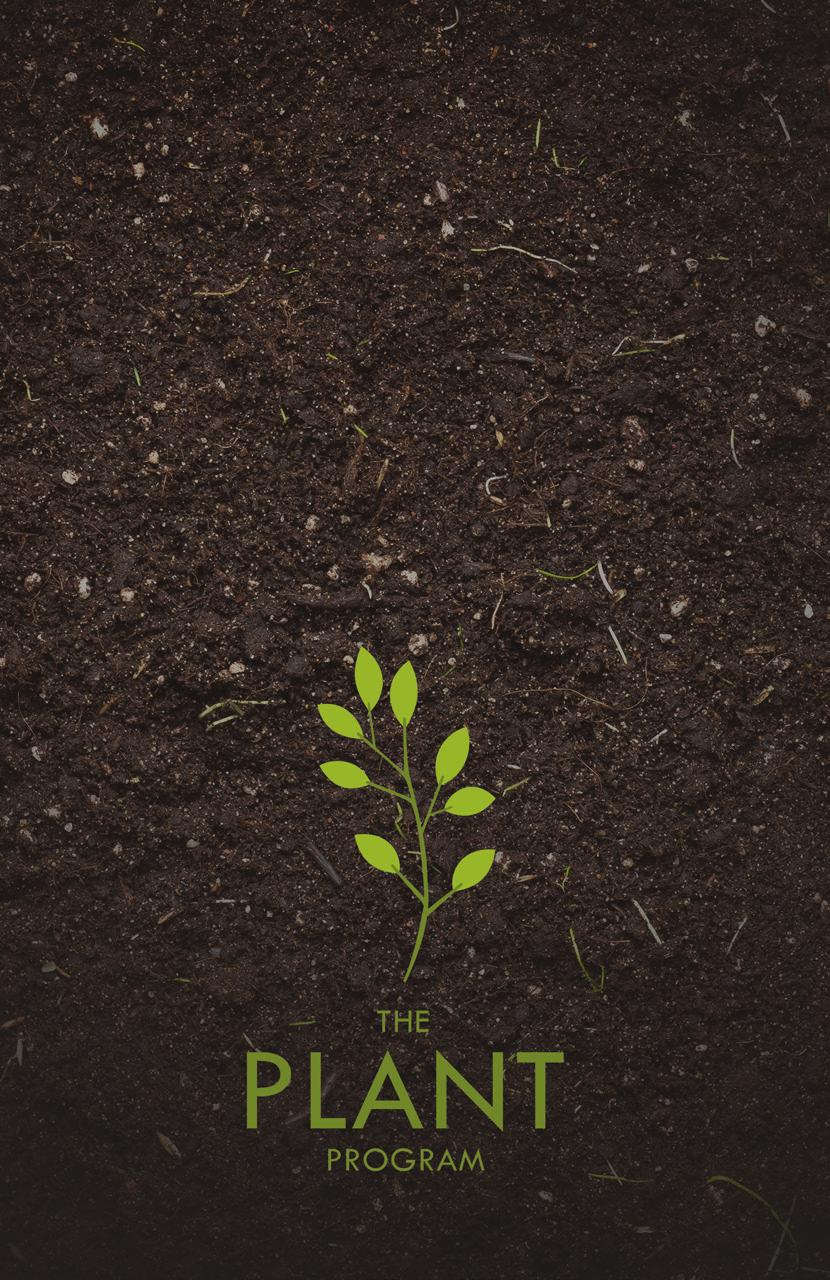 The Plant Program is designed to provide a launch pad for couples who feel a call to plant a church.