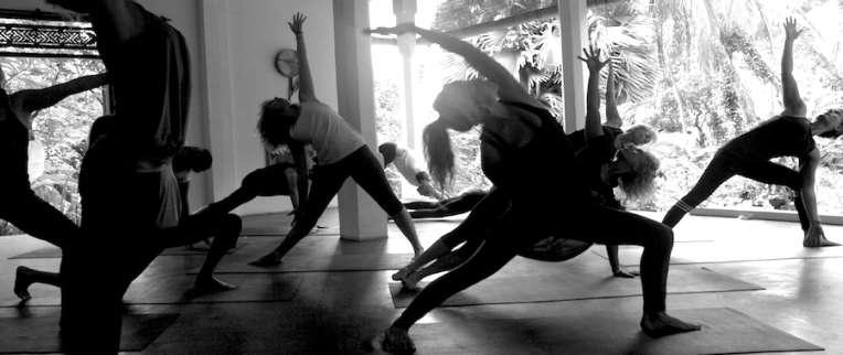 The 200hr Elemental Yoga Teacher Training The