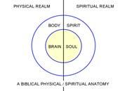 Hebrews 4:12 strongly implies a difference between the two spiritual aspects (soul and spirit) of the human being and both these aspects exists in the
