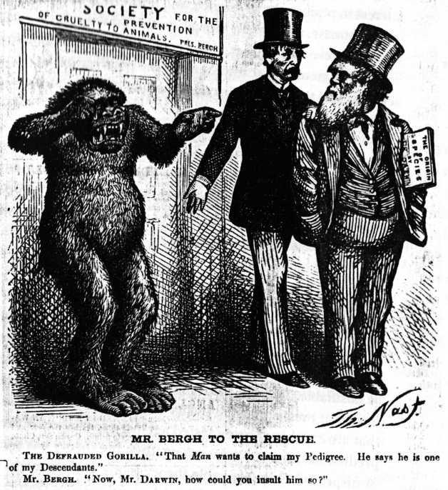 3. Darwin s suggestion that humans and apes have descended from common ancestors caused consternation in Victorian England.