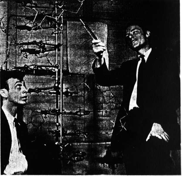 4. James Watson and Francis Crick with the famous double helix - their molecular model of the structure of DNA, discovered in 1953.
