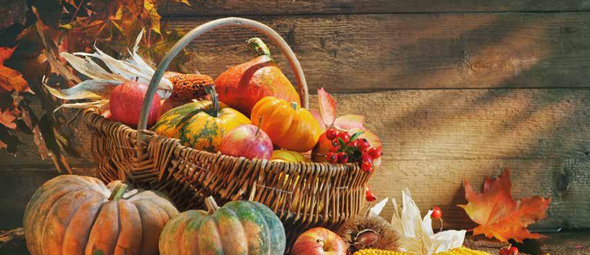 Thanksgiving Bible Verses Bible Verses for Thanksgiving - Be encouraged with Scripture on why we should give thanks and how to express our gratitude.