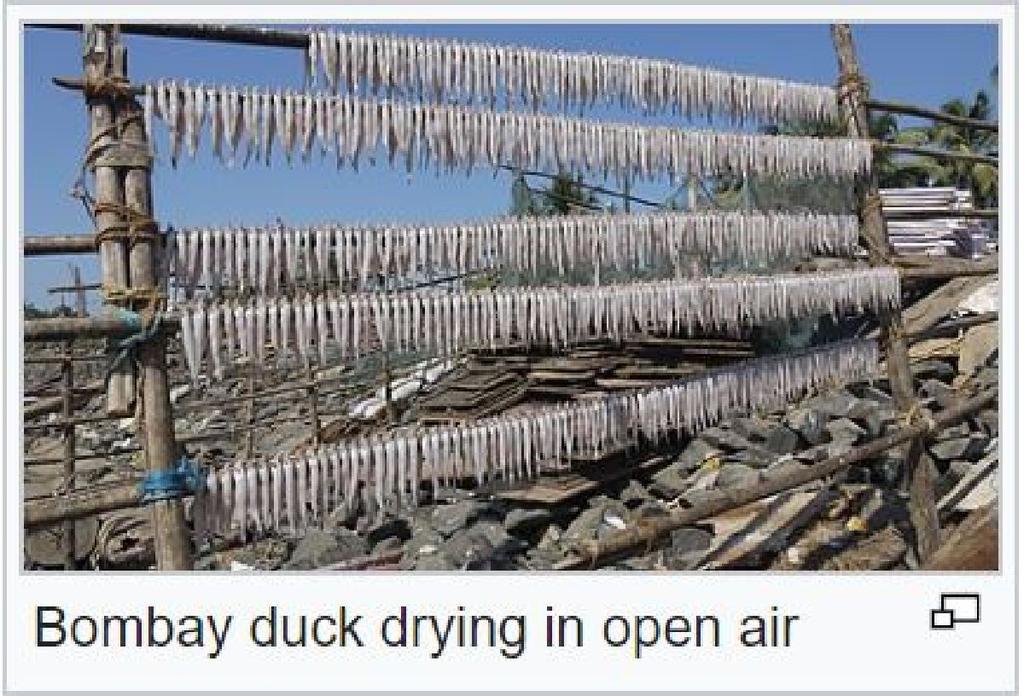 Bombay Ducks drying on