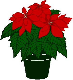 Tis The Season To Remember A poinsettia may be purchased in memory or in honor of a loved one. The poinsettias will be used to decorate the sanctuary for our Christmas Eve services.
