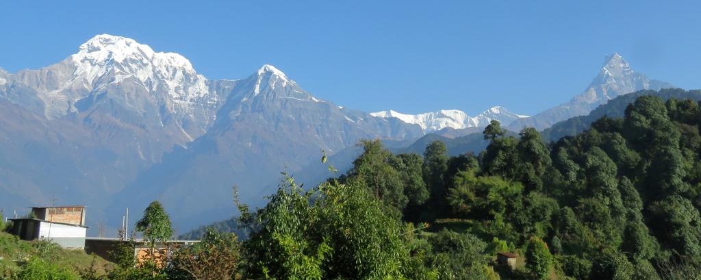 The trek to Ghorepani followed by the pre-dawn climb to the vantage point of Poon Hill is perhaps the most spectacular way to view and experience the inspiring high Himalayan peaks of Nepal.
