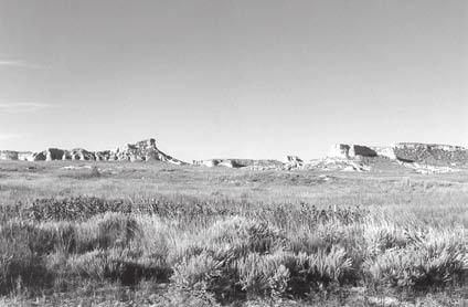 Number: 89 Orig: 35 x 23.5 34 x 22 Scale: 78% Final: 26.5 x 17 Two days after passing Ash Hollow, the Mormon Trail approached Ancient Bluff Ruins. The trail along the Platte River was often very wide.
