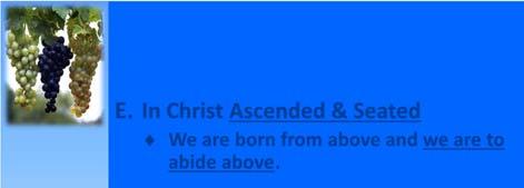 E. In Christ Ascended & Seated We are born from above and we are to abide above. Eph.