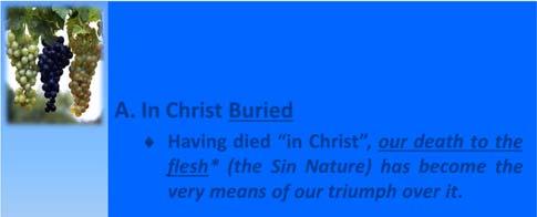 A. In Christ Buried Having died in Christ, our death to the flesh* (the Sin Nature) has become the very means of our triumph over it.