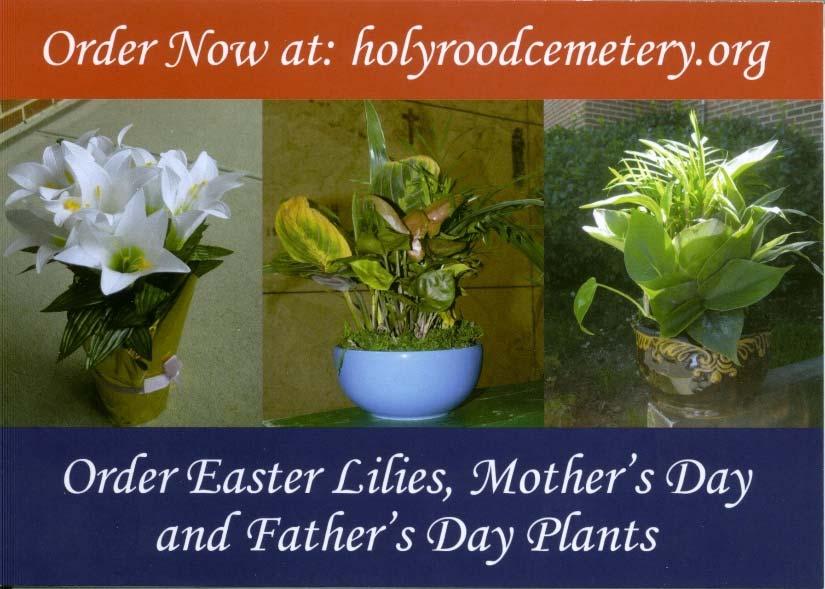 Orders are placed and then delivered to the family gravesite 1 week before holiday. Families plant at lot or remove their flowers. If they are to be kept by 1 week after the holiday.