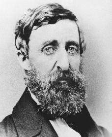 Henry David Thoreau Influenced the environmental movement An ardent and outspoken abolitionist, Thoreau served as a conductor on the Underground Railroad to help escaped slaves make their way to