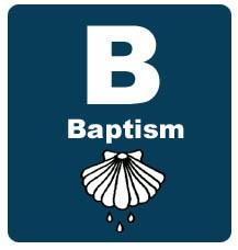 Application for Baptism St. Rose of Lima Congratulations! In presenting your child for Baptism, you are accepting the responsibility of training him/her in the practice of the faith.