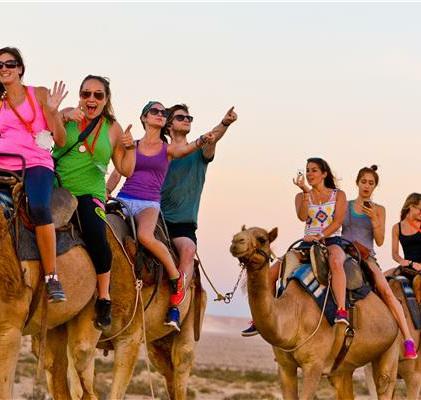 Page 12 of 13 Camel Riding עבדת גן לאומי, כ- 5 קילומטרים דרומית לשדה בוקר, על כביש 40