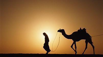 2. Arabian Peninsula s Humans ARABS a.