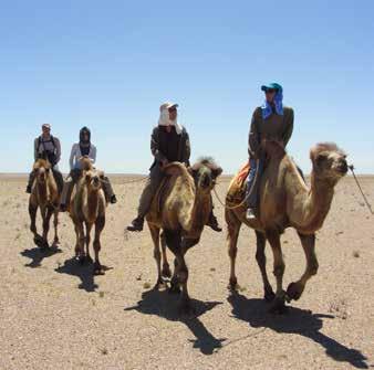 Trip Highlights Camels in the Gobi. Octavio Mendoza, July 2008» Trans-Mongolian train journey, travelling 7,621 km from Beijing to Moscow across two continents.