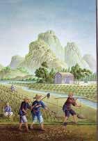 Activity Page AP 3.1 Page 43 Southern China had the perfect climate for growing rice. Peasants did all the work of planting and harvesting the rice.