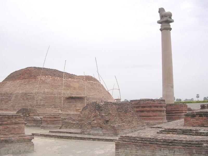 Ashoka erected pillars