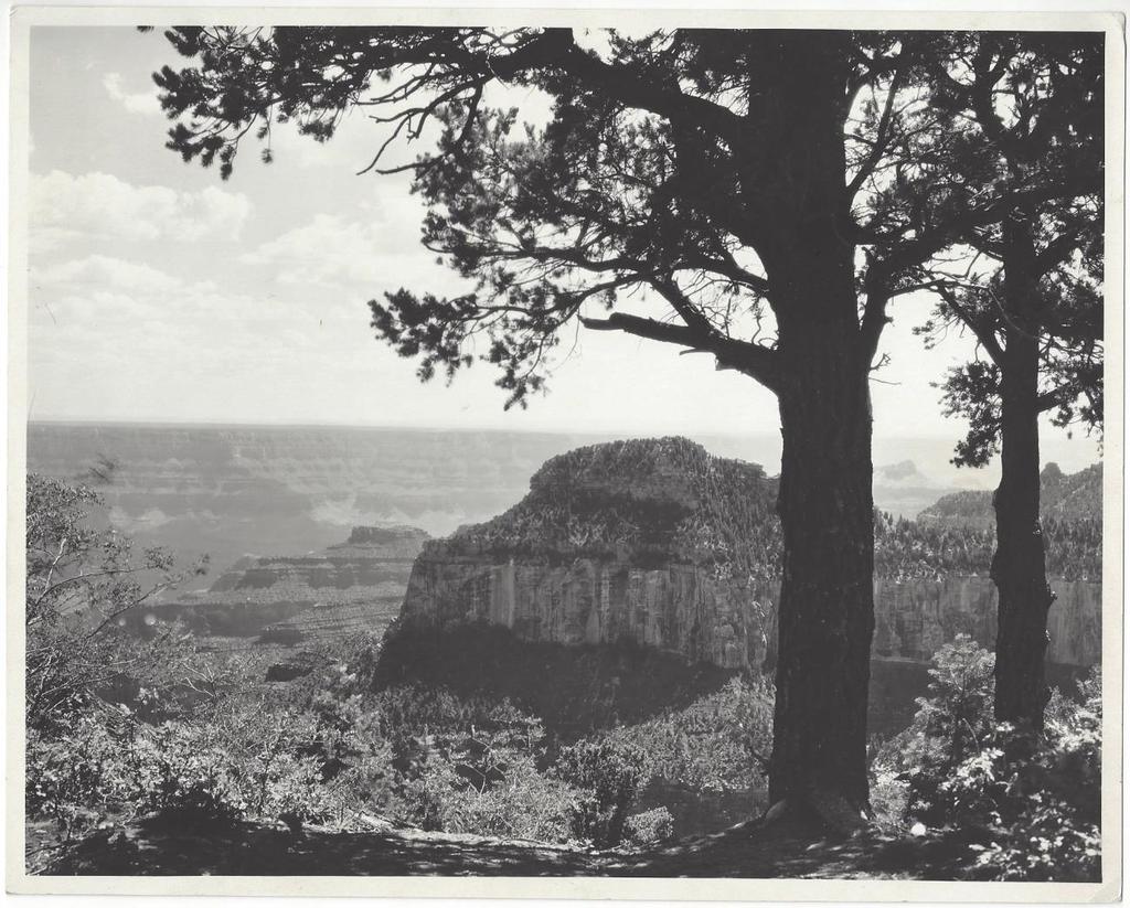 Oza Butte by Shipler 10- Shipler, Harry. Grand Canyon, Arizona. Salt Lake City: Shiplers Commercial Photographers, (c.1930). B/W photograph [24.5 x 19.