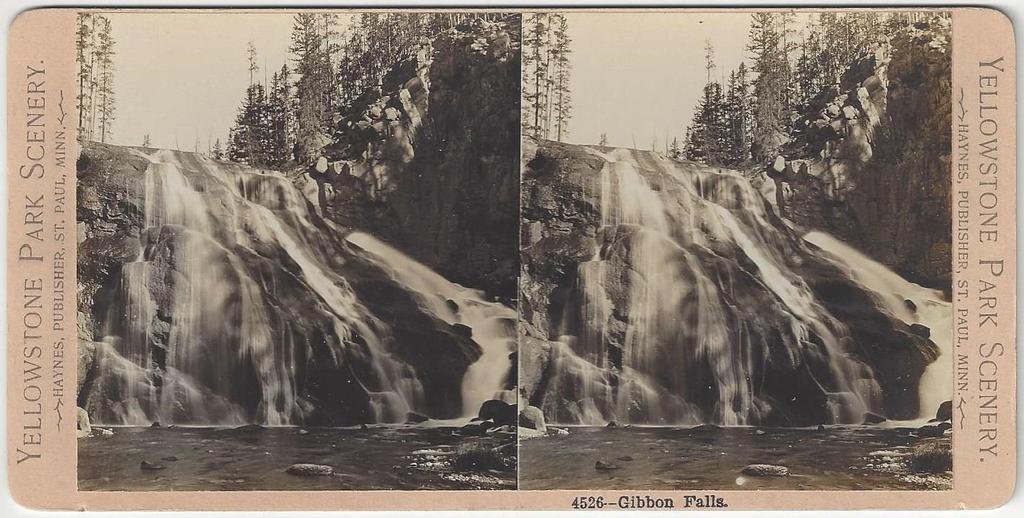 Gibbon Falls by Haynes 13- Haynes, F. Jay. 4526 - Gibbon Falls. St. Paul, MN: Haynes Publisher, (c.1900). Stereoview. Albumen photograph [8.