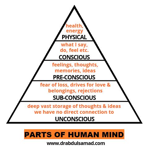 Mind controls the brain and brain coordinates the body functioning.