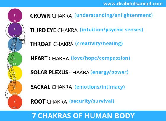 6 center. Moreover relatively smaller energy centers are present inside every joint. These are 82 in number. In Yoga, a term Chakra is used for energy centers.