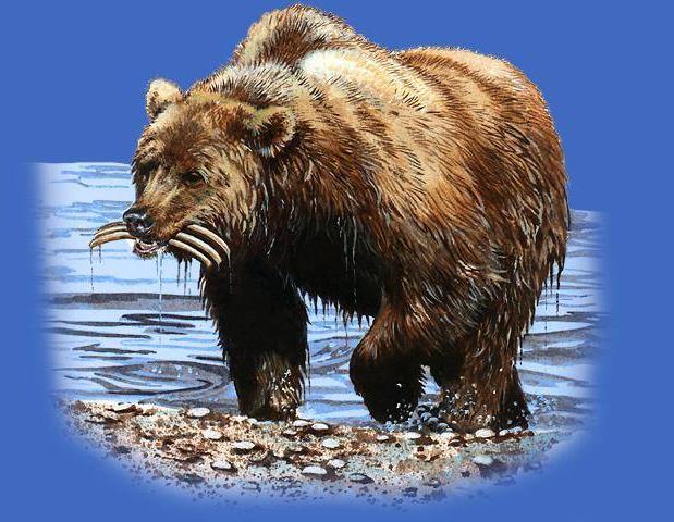 Daniel 7:5 And behold, another beast, a second one, resembling a bear.