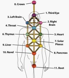 Solar Plexus Center (7) Just under the breastbone in the inverted V-shaped area There is a a nerve plexus here that radiates like the spokes of a wheel which regulates autonomic functions