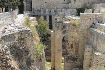 February 15-24, 2019 I T I N E R A R Y Return to the Old City of Jerusalem to visit the Pool of Bethesda where Jesus cured the paralytic. Beside it is the Church of St.
