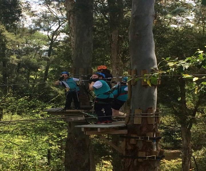Holy Family Primary 2 November 2017 Emerton Year Five Excursion to Trees Adventure, Yarramundi On Wednesday the 25th October, the students in Year 5 attended an excursion to Trees Adventure,