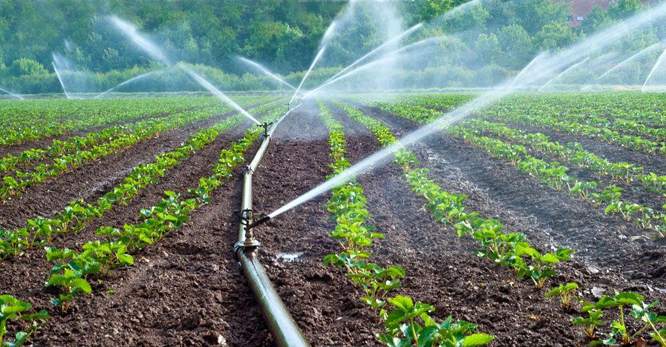 Irrigation Definition:Supplying any dry land with water Significance:It