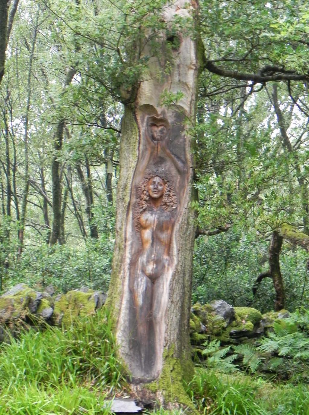 Wood carving in a tree, at Cae