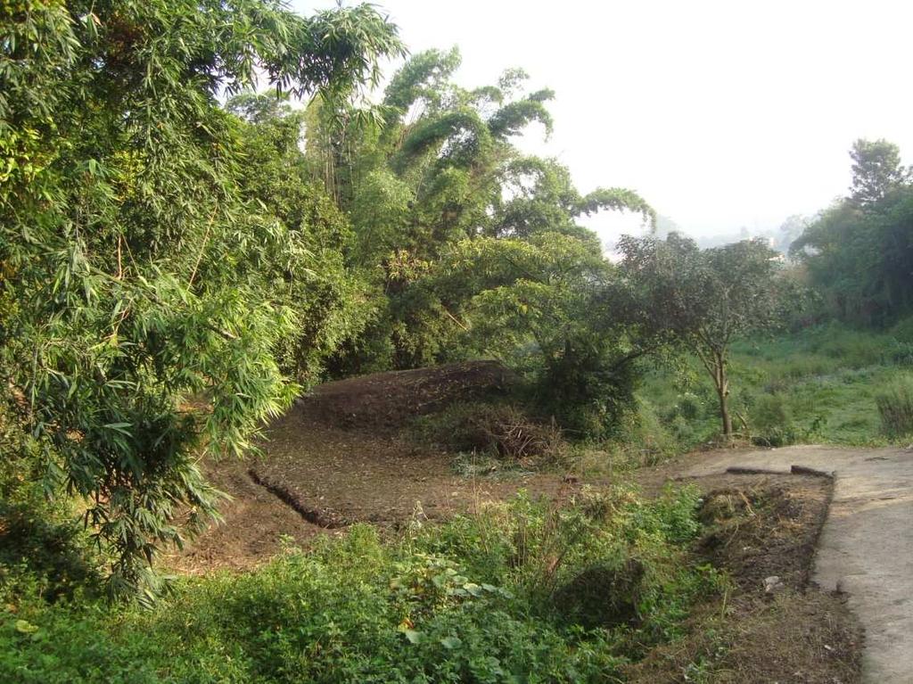 8 Cremation site of Panga