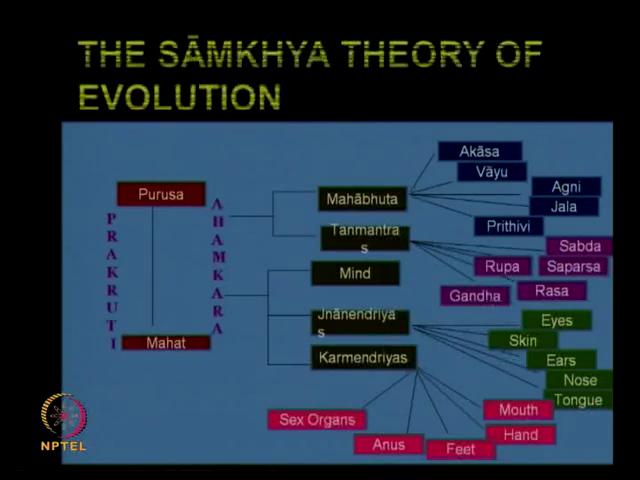 (Refer Slide Time: 32:37) Now, in the diagram, we will see that, how this order happens. Now, as you can see, this diagram, this is the Sāmkhya theory of evolution.