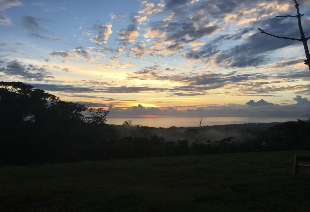 Do we HAVE to go home?!? Looking Back on our Costa Rica Field Course Experience by Sammy Lowe, on behalf of the AUBIO 350/459 field studies team Winter 2018 Greetings!