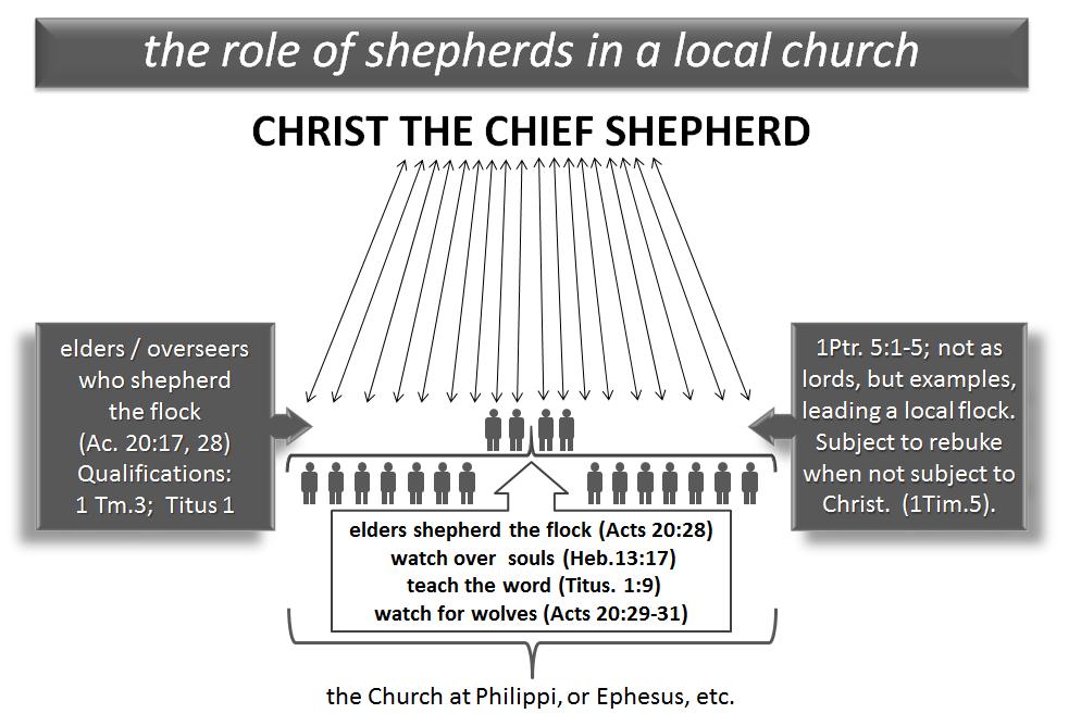 5. Local shepherds & the chief shepherd: 1 Peter 5: