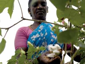 From seed to sale, Kapas is a socially and environmentally sustainable project using only the most ethical practices for the earth and the cotton communities of rural India.